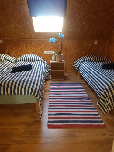 Hostal Tiiupesa Guest House