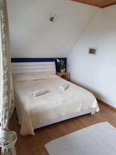 Hostal Tiiupesa Guest House