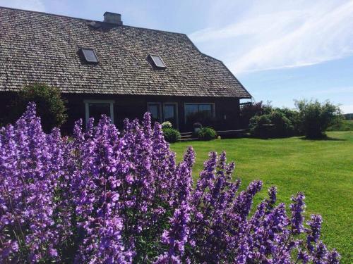 Hostal Tiiupesa Guest House