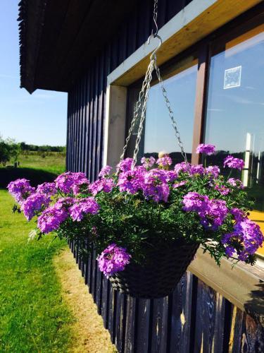 Hostal Tiiupesa Guest House