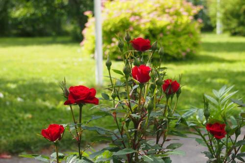 Hostal M�nni Guesthouse