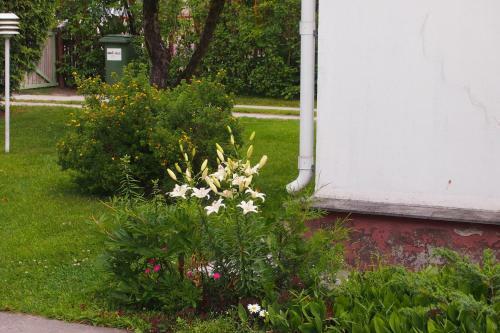 M�nni Holiday House
