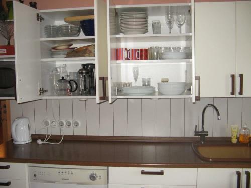 Tiiker Homestay