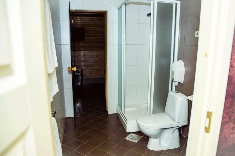 Hotel Metsis