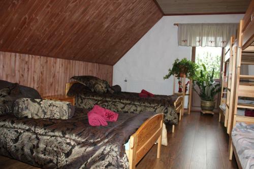 Hostal Krapi Guesthouse