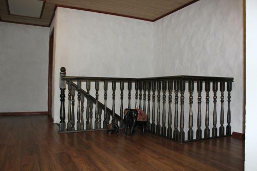 Hostal Krapi Guesthouse