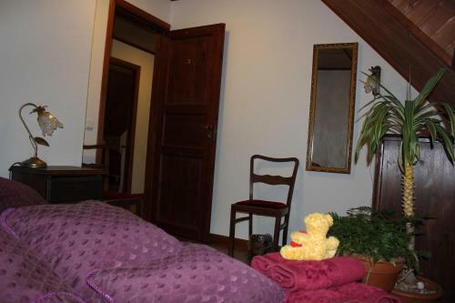 Hostal Krapi Guesthouse