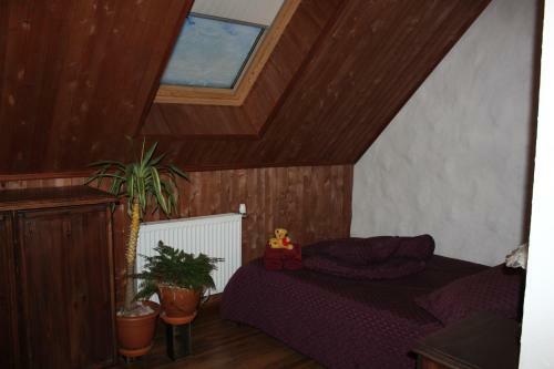 Hostal Krapi Guesthouse