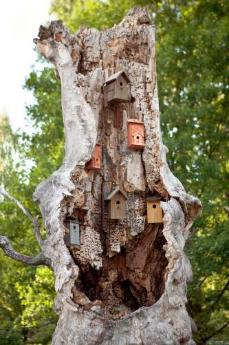 Linnumaja Guesthouse