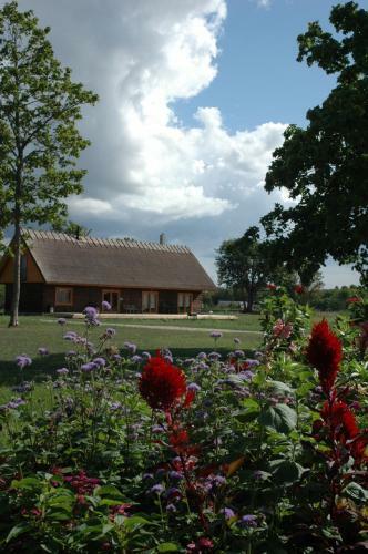 Bed & Breakfast Pulga Holiday Complex