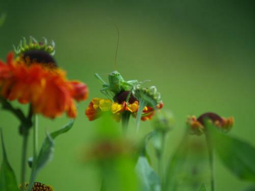 K�nda Holiday Home