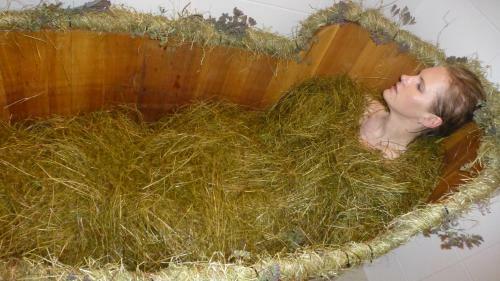 Hotel Natural Wellness Center Biospa