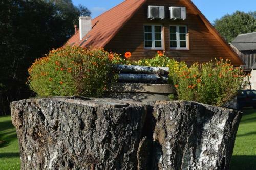 Kaugu Veski Holiday Home