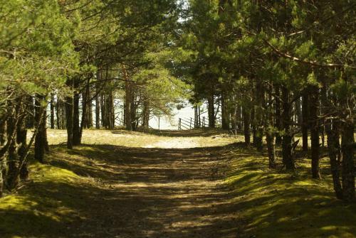 Apartamento Tehumardi Laguun