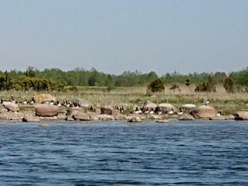 Toomal�uka Tourist Farm