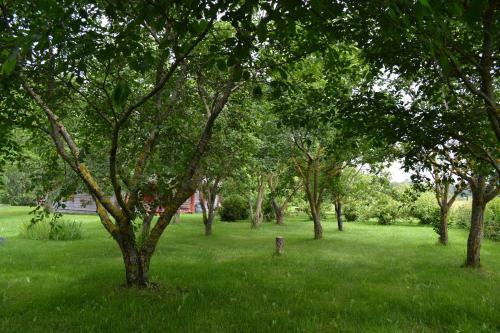 Toomal�uka Tourist Farm