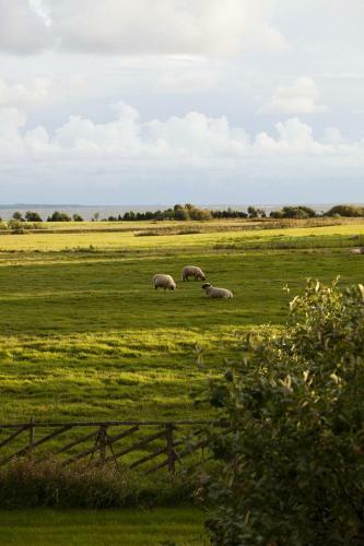 Toomal�uka Tourist Farm