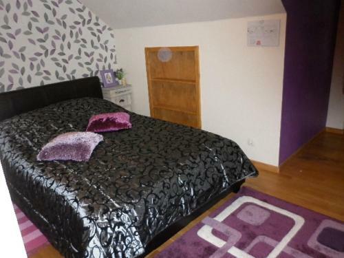 Bed & Breakfast Kuldkaru Manor