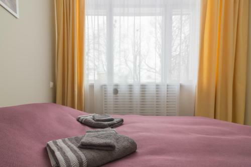 Hostal Tiigi Six Guesthouse