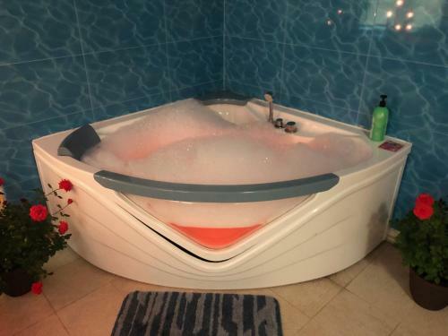 Bed & Breakfast Paivilla Boutique Hotel