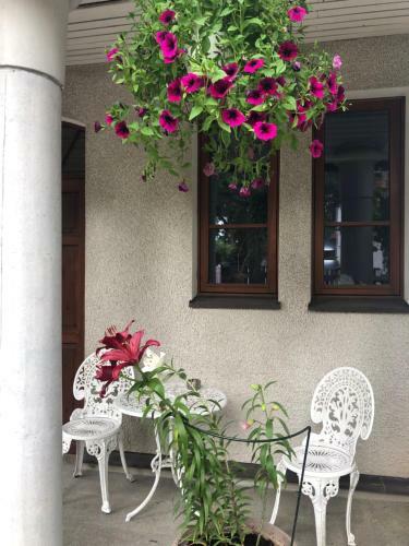 Bed & Breakfast Paivilla Boutique Hotel