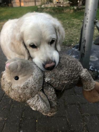 Bed & Breakfast Paivilla Boutique Hotel