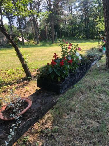 Bed & Breakfast Paivilla Boutique Hotel