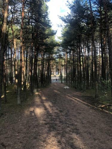 Bed & Breakfast Paivilla Boutique Hotel