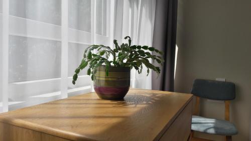 Best Apartments - Kentmanni 9