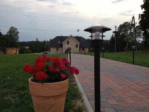 Hostal P��ni Tavern & Guesthouse