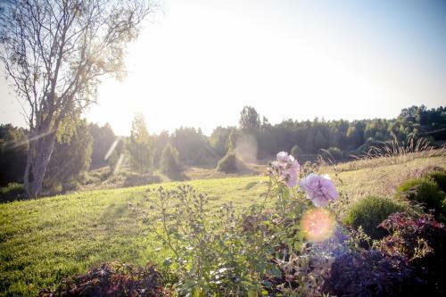 Hostal P��ni Tavern & Guesthouse