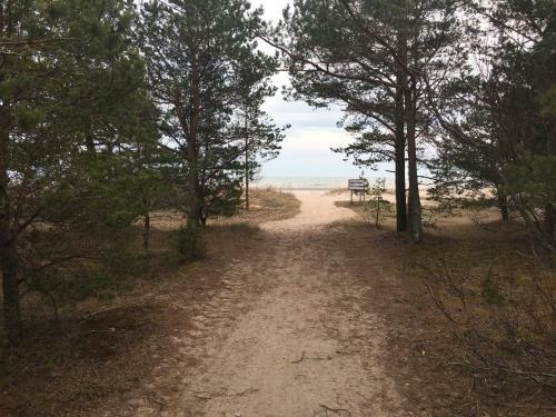 M�ndjala Forest House