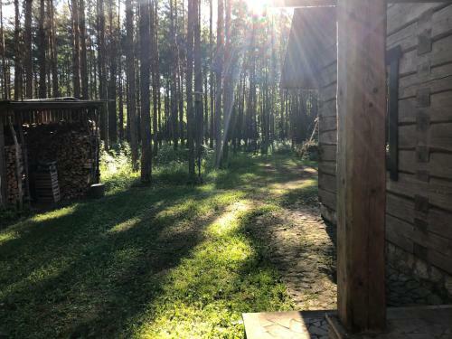 M�ndjala Forest House