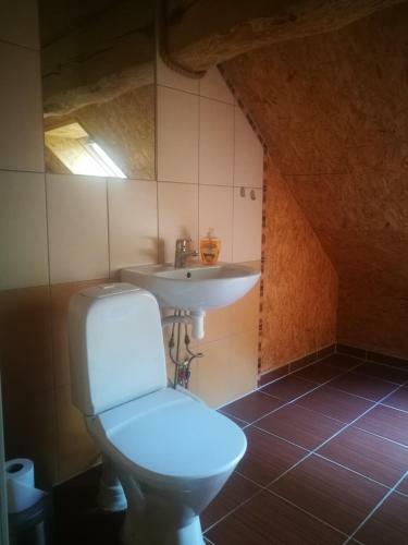 M�ndjala Forest House