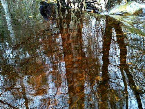 Hotel Holstre-polli Holiday Centre