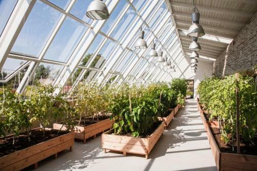 Hotel Vihula Manor Country Club & Spa