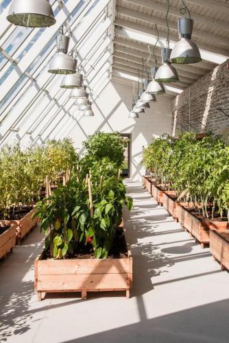 Hotel Vihula Manor Country Club & Spa