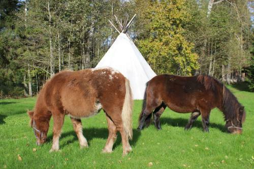Agroturismo Soesauna Farmstay