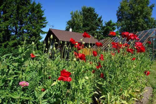 Hostal Kelluka Holiday House
