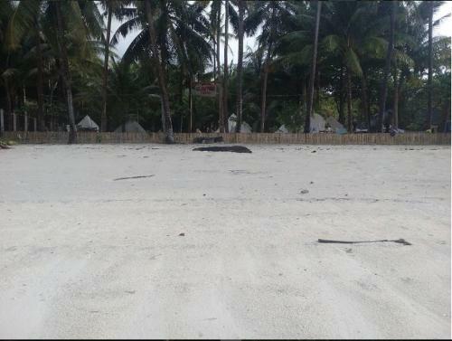 Glamping Siquijor By The Beach