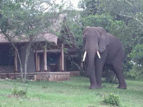 Queen Elizabeth Bush Lodge
