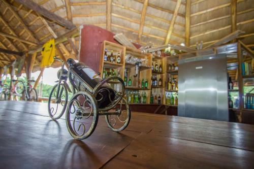 Hotel Roots Retreat And Camping Resort