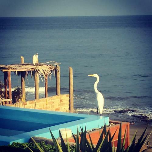 Hotel La Playa