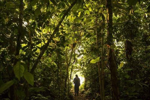 Lodge Tambopata Research Center