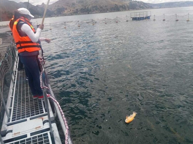 Yacht Lago Titicaca