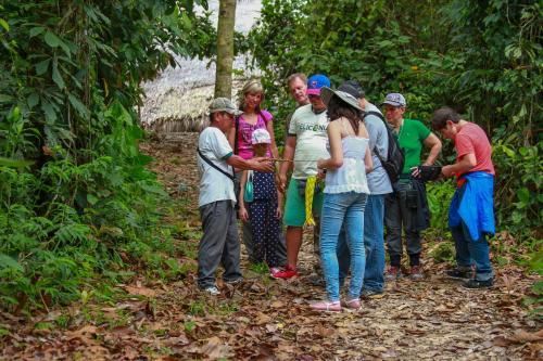 Hostal Heliconia Amazon River Lodge