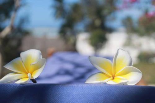 Apartamento Surfescape Village Zanzibar