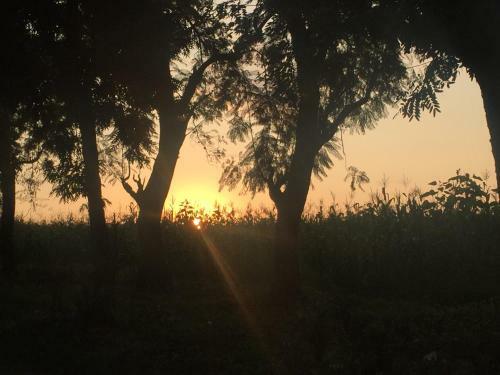 Matriarchhill Home Stay