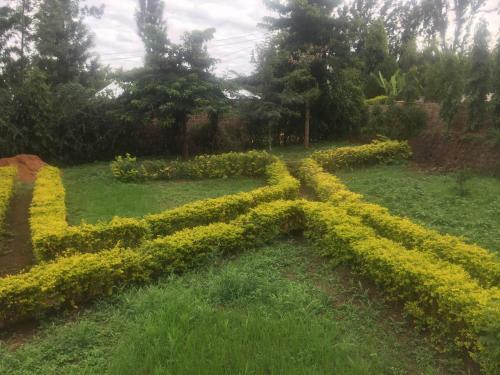 Matriarchhill Home Stay