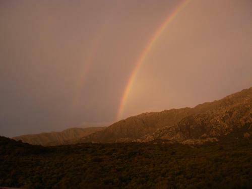 Complejo Arlington Village